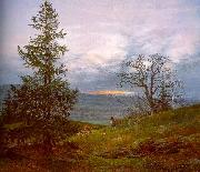 Johan Christian Dahl Evening Landscape with Shepherd oil painting